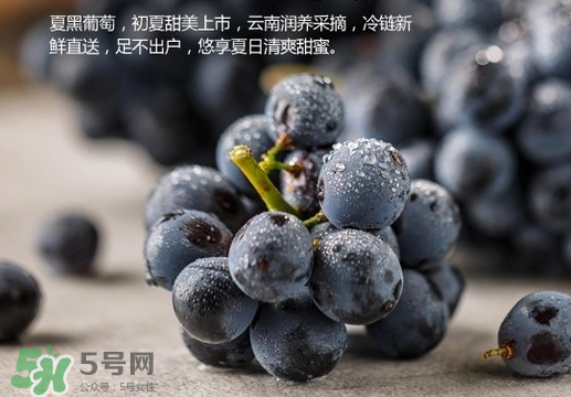 夏黑葡萄皮能吃嗎？夏黑葡萄怎么吃？