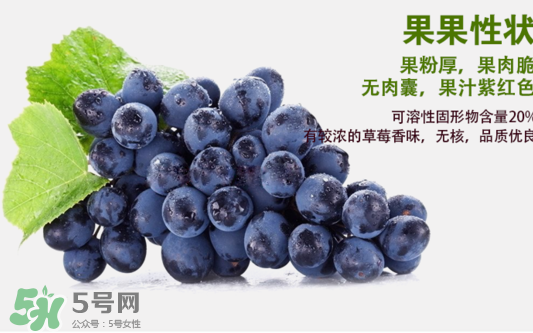 夏黑葡萄怎么洗？夏黑葡萄怎么洗才干凈？