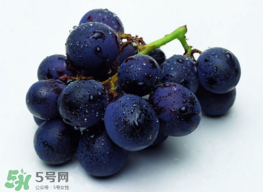 巨峰葡萄和葡萄有什么區(qū)別？巨峰葡萄是轉(zhuǎn)基因的嗎？
