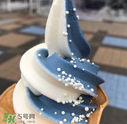 鯨鯊冰淇淋好吃嗎？鯨鯊冰淇淋多少錢？