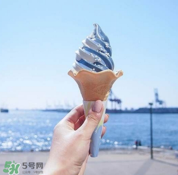 鯨鯊冰淇淋好吃嗎？鯨鯊冰淇淋多少錢？