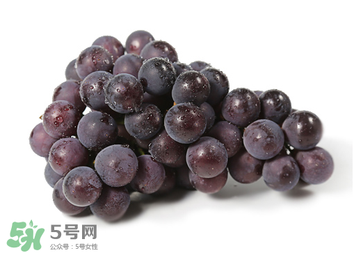 巨峰和夏黑哪個好吃？哪個貴？有什么區(qū)別？