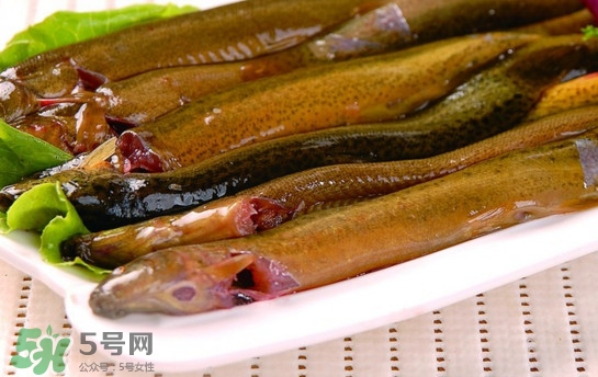鰻魚是泥鰍嗎？鰻魚與泥鰍什么區(qū)別