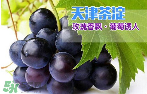 玫瑰香葡萄多少錢一斤？玫瑰香葡萄多少錢一斤2017？