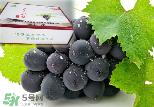 戶太八號葡萄什么時候套袋？戶太八號葡萄什么月份套袋？