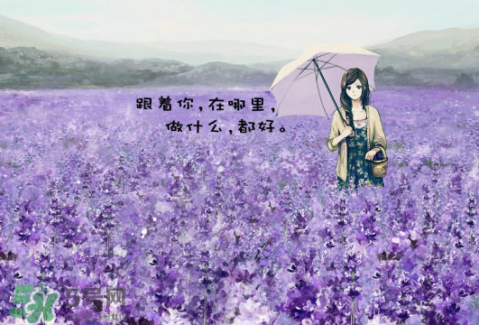 七月份還有薰衣草嗎？7月份還有薰衣草嗎？