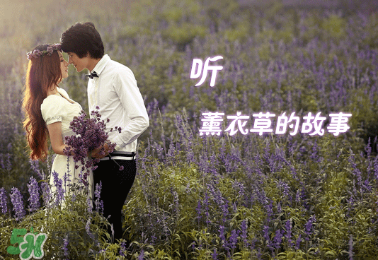 七月份還有薰衣草嗎？7月份還有薰衣草嗎？