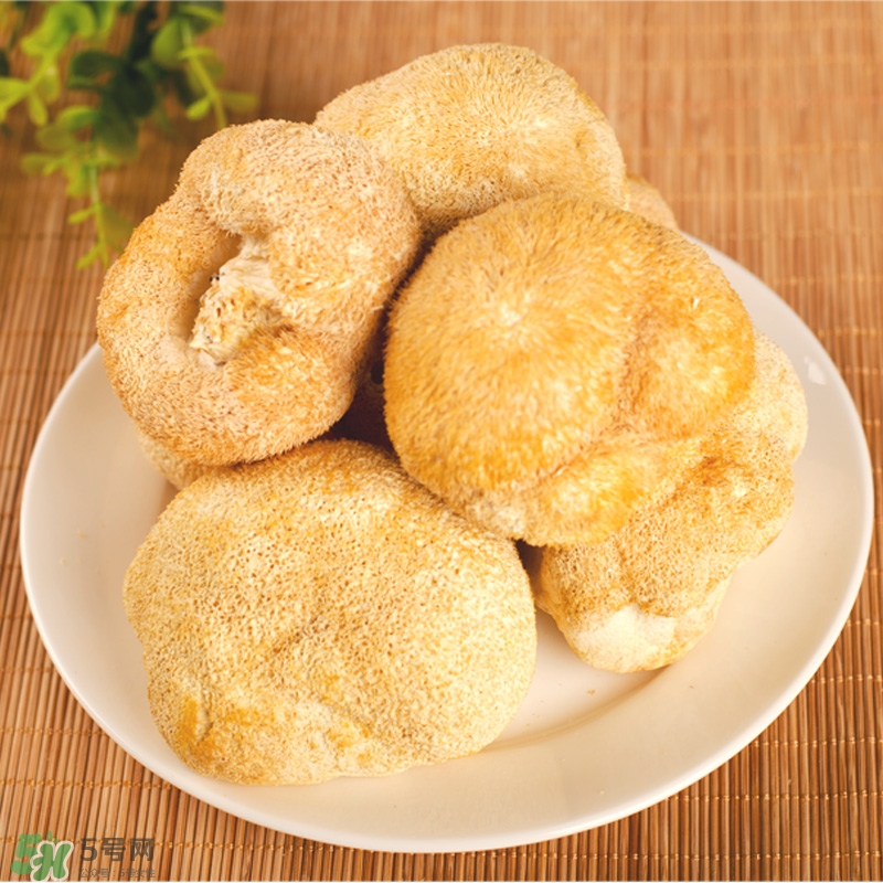 猴頭菇怎樣吃治胃??？猴頭菇能治胃病嗎？