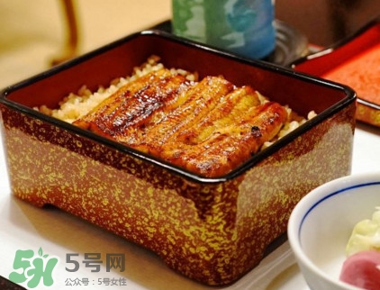鰻魚飯熱量高嗎？鰻魚飯的熱量有多高