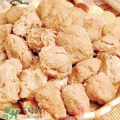 猴頭菇怎樣吃治胃??？猴頭菇能治胃病嗎？