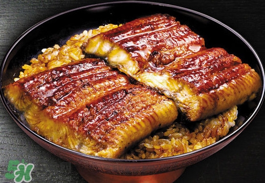 鰻魚飯熱量高嗎？鰻魚飯的熱量有多高
