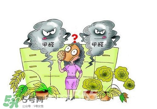 甲醛怎么治理？除甲醛最有效方法