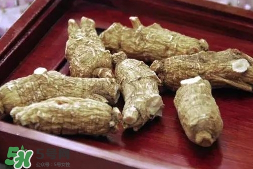 西洋參怎么吃效果最好？西洋參與人參的區(qū)別
