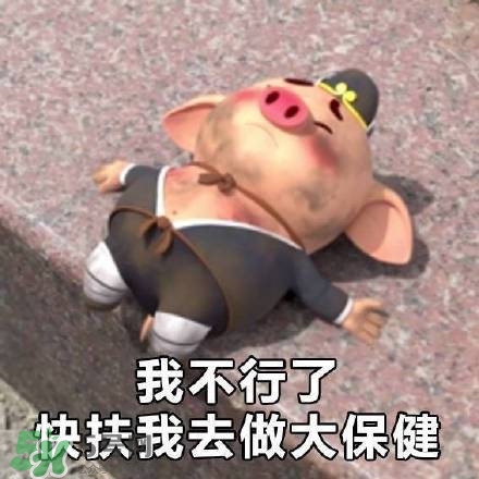 豬小屁表情包是什么？豬小屁表情包為什么這么火？