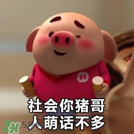 豬小屁表情包是什么？豬小屁表情包為什么這么火？