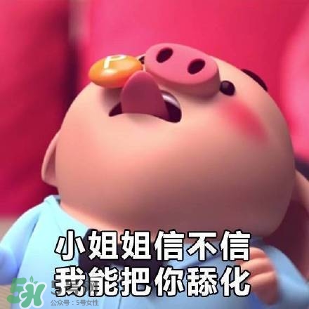 豬小屁表情包是什么？豬小屁表情包為什么這么火？