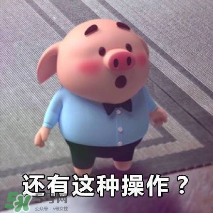 豬小屁表情包是什么？豬小屁表情包為什么這么火？