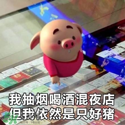 豬小屁表情包是什么？豬小屁表情包為什么這么火？