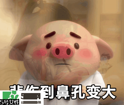 豬小屁多少錢一個？豬小屁哪里可以買到