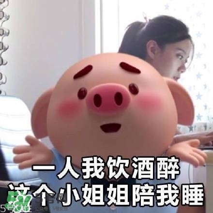 豬小屁多少錢一個？豬小屁哪里可以買到