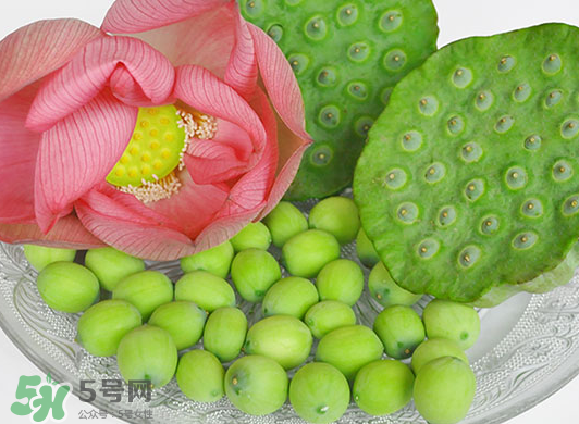 蓮蓬是水果嗎？蓮蓬是水果還是蔬菜？