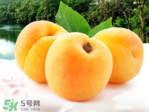 黃桃是酸性還是堿性？黃桃罐頭是酸性還是堿性？