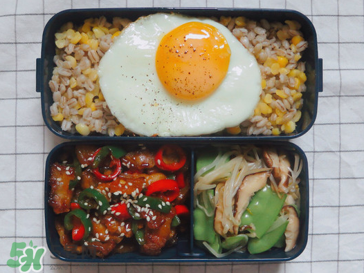 夏天用保溫盒帶飯會壞嗎？夏天能用保溫盒帶飯嗎？