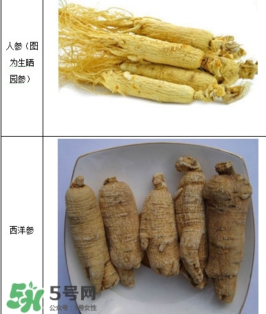 西洋參怎么吃效果最好？西洋參與人參的區(qū)別