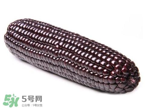 紫玉米會掉色嗎？紫玉米怎么會掉色？