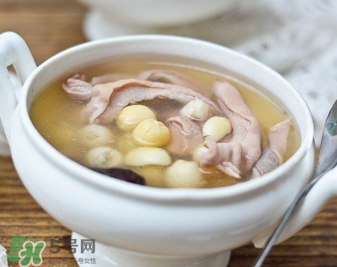 新鮮蓮子可以燉湯嗎？新鮮蓮子怎么煲湯？