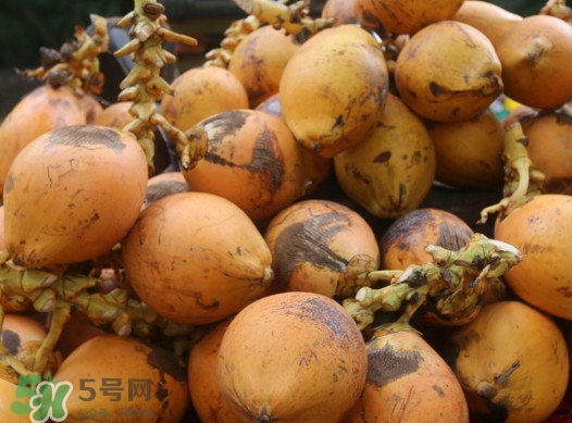 椰子什么時候成熟？椰子什么時候吃最好