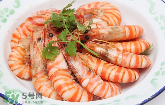 活的斑節(jié)蝦多少錢一斤？野生斑節(jié)蝦多少錢一斤
