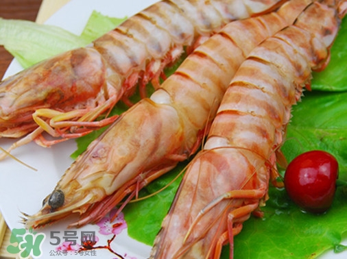 活的斑節(jié)蝦多少錢一斤？野生斑節(jié)蝦多少錢一斤