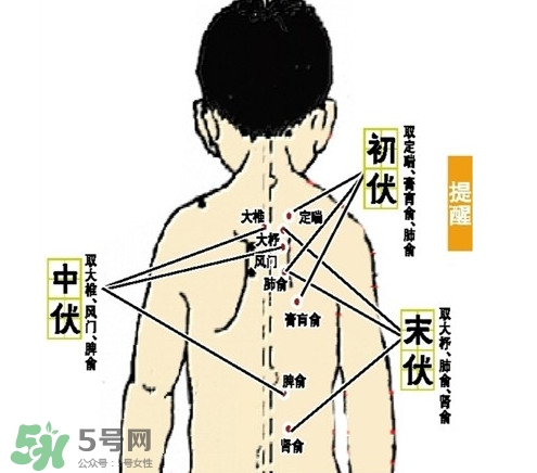 三九灸和三伏灸有什么區(qū)別？做完三伏灸要注意什么？