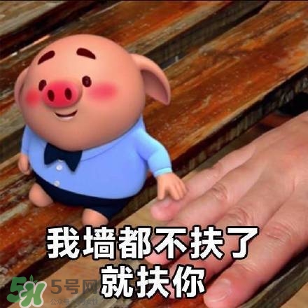 豬小屁表情包是什么？豬小屁表情包為什么這么火？