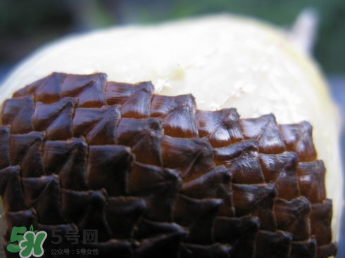 蛇皮果能生吃嗎？蛇皮果能放冰箱嗎？