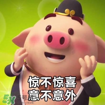 豬小屁表情包是什么？豬小屁表情包為什么這么火？