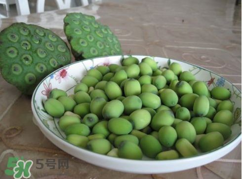 新鮮蓮子多少錢一斤？新鮮蓮子哪里有賣？