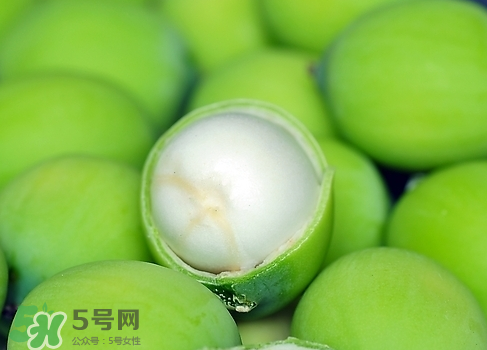 新鮮蓮子多少錢一斤？新鮮蓮子哪里有賣？