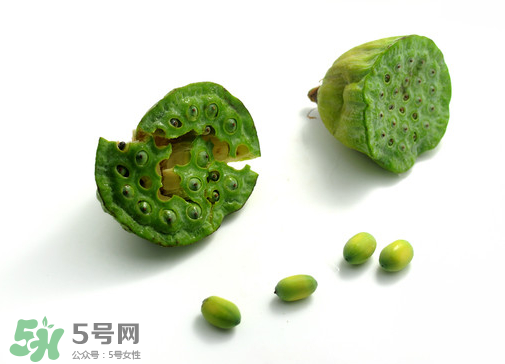 新鮮蓮子可以直接吃嗎？生蓮子可以直接吃嗎？