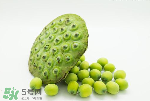 新鮮蓮子可以直接吃嗎？生蓮子可以直接吃嗎？