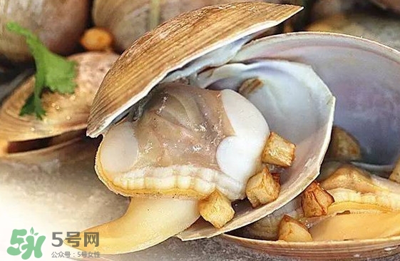 蜆子是蛤蜊嗎？蜆子和文蛤怎樣區(qū)別