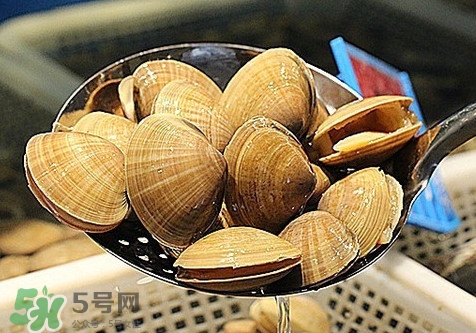 黃蜆子和花蜆子哪個(gè)好？黃蜆子和花蜆子的區(qū)別