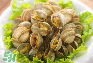 蒸蜆子多長時(shí)間？黃蜆子蒸多久能熟？