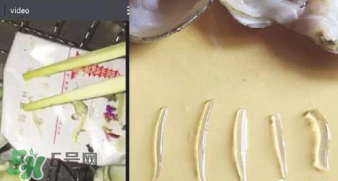 蜆子肉里白色長條東西是什么？蜆子肉里面透明的能吃嗎