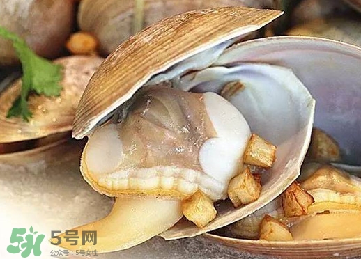 蒸蜆子多長時(shí)間？黃蜆子蒸多久能熟？