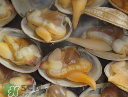蜆子肉里白色長條東西是什么？蜆子肉里面透明的能吃嗎
