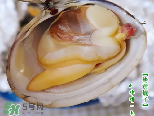 蜆子什么樣的是活的？蜆子開(kāi)口是死還是活