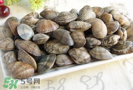 黃蜆子和花蜆子哪個(gè)好？黃蜆子和花蜆子的區(qū)別