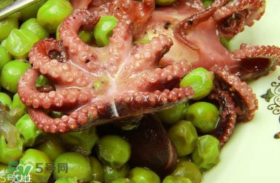 八爪魚多少錢一斤？章魚多少錢一斤